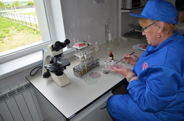 Губернатор відвідав підприємства агропромгрупи. ФОТО