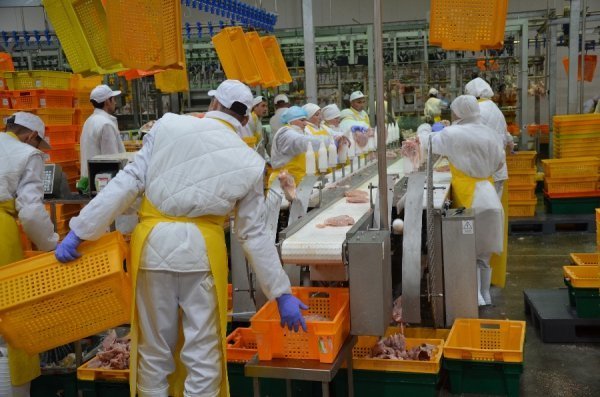 Губернатор відвідав підприємства агропромгрупи. ФОТО