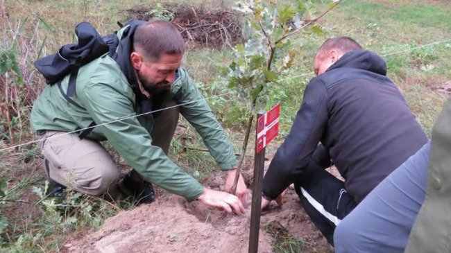 На Волині в нацпарку висадили дуби на Алеї Героїв. ФОТО