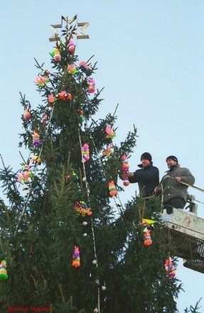 Показали головну ялинку Луцька у різні роки