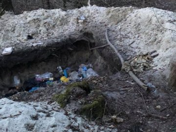 Замість звалища – «централізована» яма у лісі на Волині