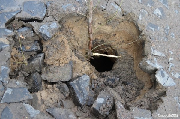 Під провалом на Замковій площі у Луцьку знайшли невідоме підземелля. ФОТО