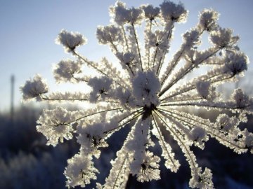 Погода в Луцьку та Волинській області на вівторок, 14 лютого