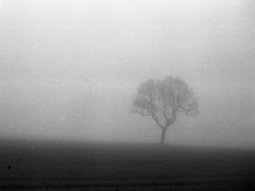 Волинян попереджають про туман