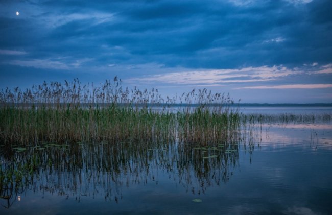 Таємничий Світязь через об'єктив волинського фотографа