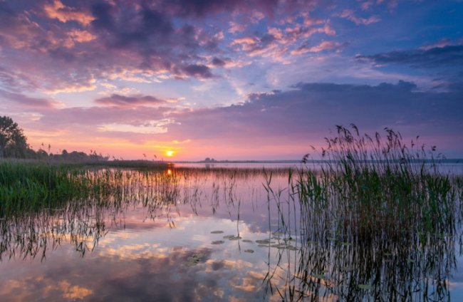 Таємничий Світязь через об'єктив волинського фотографа