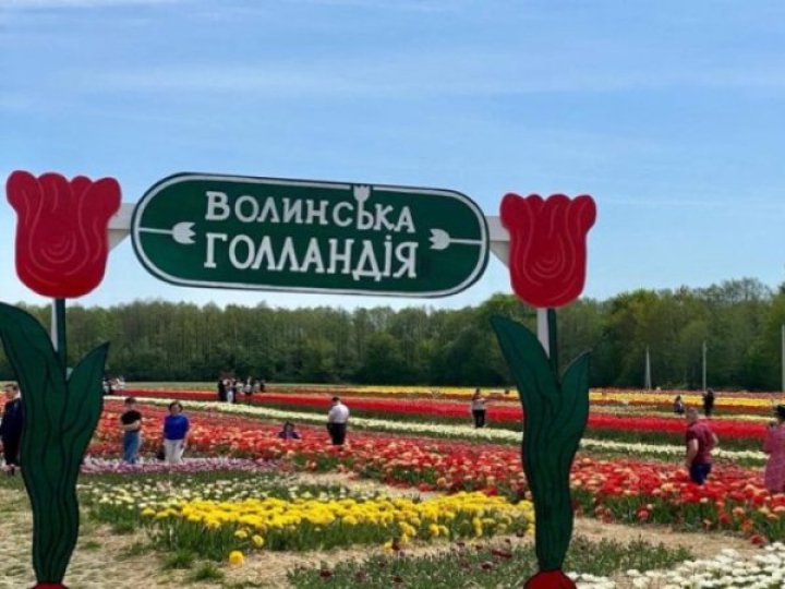 Волинська Голландія: організатори розсекретили плани на цей рік