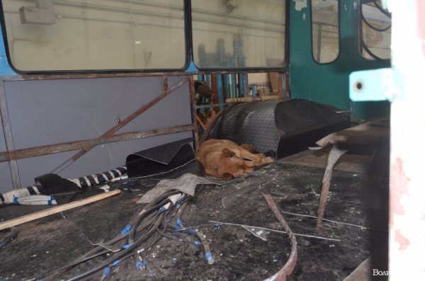 У Луцьку працівники тролейбусного депо не збирались страйкувати,- голова профспілки. ФОТО