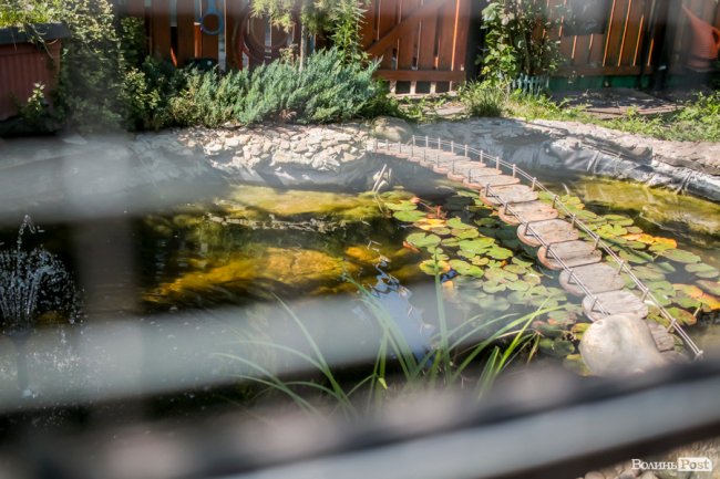 Безіменна вулиця і неназваний ставок: чим особливий неквапливий Вишків. ФОТО