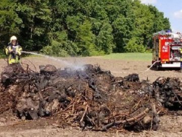 Під Луцьком чоловік розпалив величезне вогнище прямо біля лісу