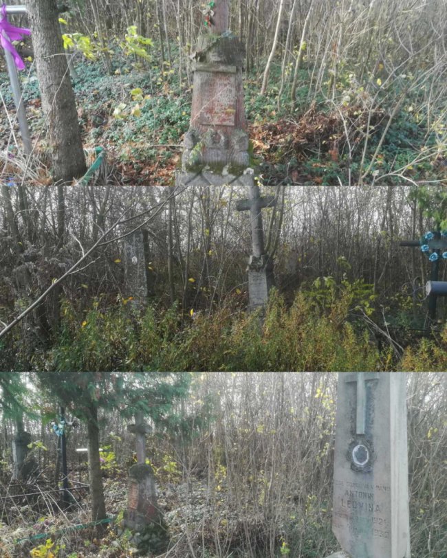 Поблизу Луцька впорядкували чеське кладовище