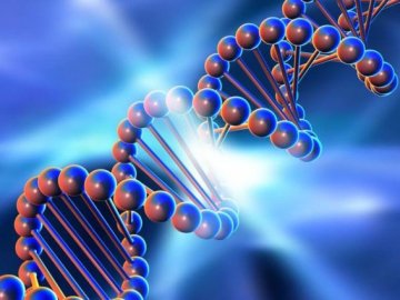 ВР проголосувала за створення бази ДНК в Україні