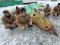 У колонії на Волині серед засуджених провели конкурс снігових фігур. ФОТО 