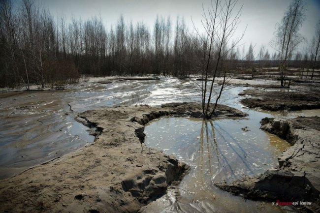 Фотограф показав космічні пейзажі бурштинових районів Рівненщини. ФОТО
