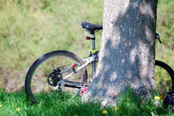 Першотравневий Луцьк. ФОТО