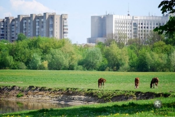 Першотравневий Луцьк. ФОТО