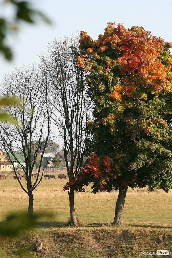 Початок осені у Луцьку. ФОТО