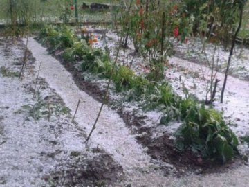 Прикарпаття засипало величезним градом