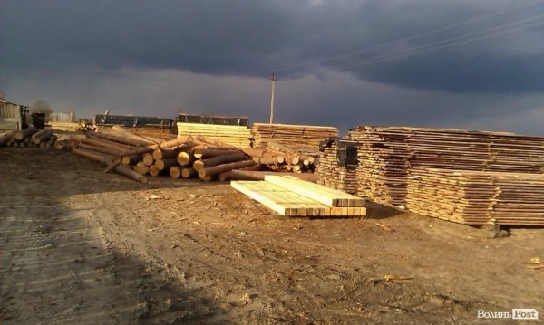 «Ліс рубають – скалки летять»: чому камінь-каширці проти охоронців лісу. ФОТО. ВІДЕО