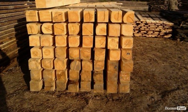 «Ліс рубають – скалки летять»: чому камінь-каширці проти охоронців лісу. ФОТО. ВІДЕО