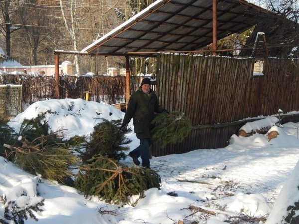 Зима в Луцькому зоопарку. ФОТО