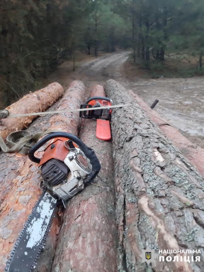 Представники громадської організації «здали» волинській поліції «чорних лісорубів». ФОТО