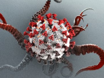 Перший випадок «Кракена» в Україні: перебіг захворювання у пацієнта був середньої тяжкості