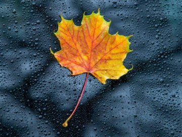 Погода у Луцьку та Волинській області на завтра, 17 вересня