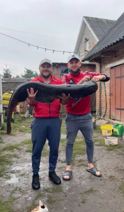 На Волині рибалка спіймав майже 20-кілограмового сома 