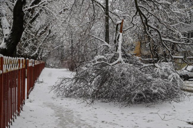 В Одесі – транспортний колапс через снігопади