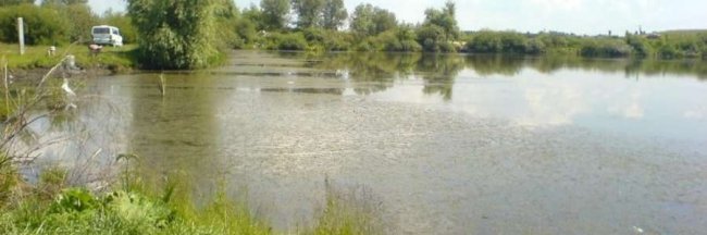 Літній відпочинок біля Луцька: де можна порибалити, посмажити шашлики і покупатись. ЛОКАЦІЇ