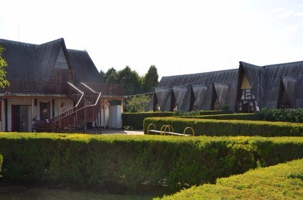 Волинський нардеп відправив дітей у табір. ФОТО