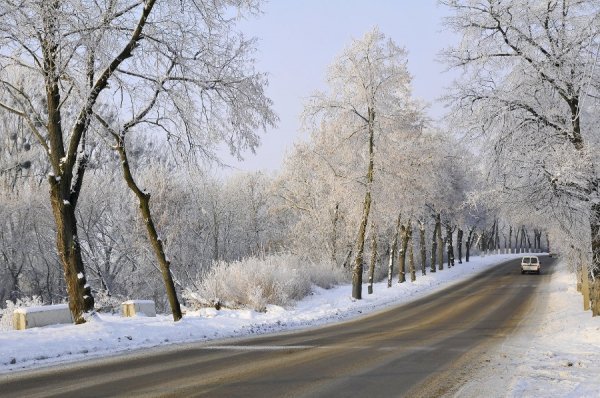 Засніжений Луцьк очима фотографа