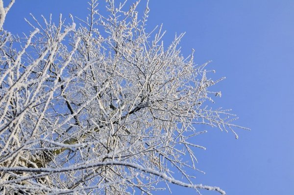 Засніжений Луцьк очима фотографа