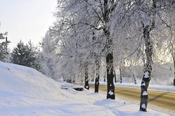 Засніжений Луцьк очима фотографа