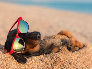 Коли в Україні послабне спека