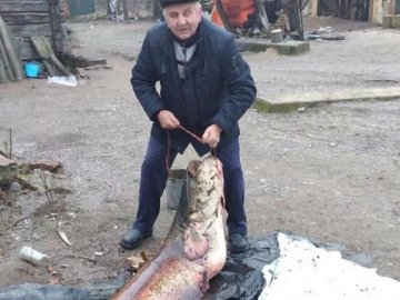 На Рівненщині зловили рибу-велетня. ФОТО