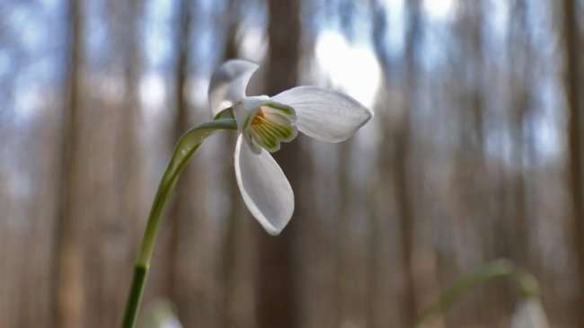 Фото: Суспільне