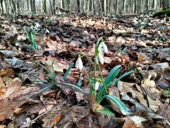 Фото: Суспільне