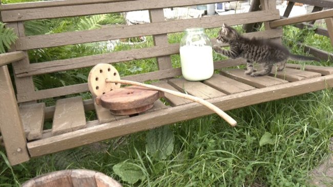 Як приготувати масло у домашніх умовах: старовинний волинський рецепт