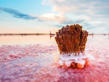 Цілюще рожеве озеро на Херсонщині, яке не має аналогів у світі. ФОТО