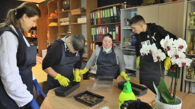 Як у Луцьку діти із синдромом Дауна вирощують мікрозелень. ФОТО