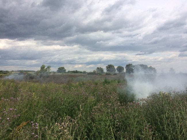 Через паліїв сміття на Волині вигоріло три гектари поля