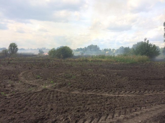 Через паліїв сміття на Волині вигоріло три гектари поля