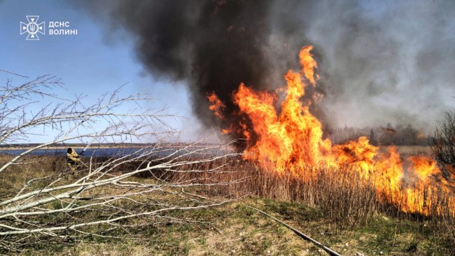 Вогонь підходив упритул до доріг та будинків: на Волині згоріло понад 30 га землі