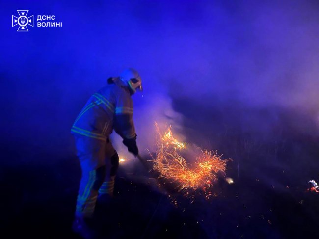 Вогонь підходив упритул до доріг та будинків: на Волині згоріло понад 30 га землі