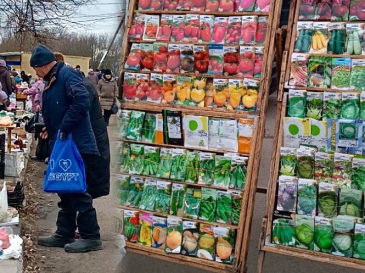 Скільки коштує посадити город у 2026 році: огляд цін на насіння на луцькому ринку