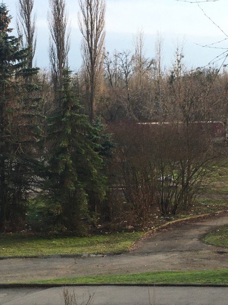 Вхід в Центральний парк