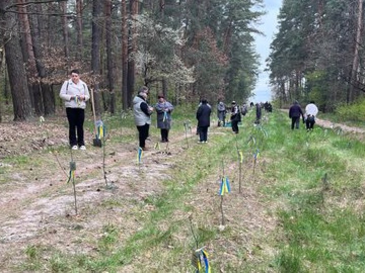 На Волині висадили понад сотню дубів у пам'ять про полеглих захисників і захисниць. ВІДЕО