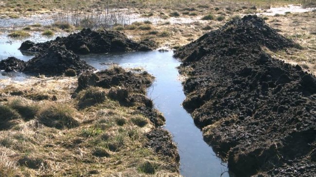 У волинську річку потрапили трансформаторні мастила: чи критичне забруднення